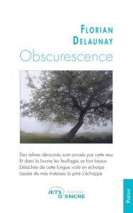 Obscurescence - Delaunay Florian