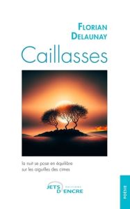 Caillasses - Delaunay Florian