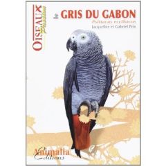 Le gris du Gabon - Prin Gabriel - Prin Jacqueline