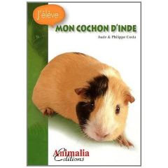 Mon cochon d'Inde - Costa Aude - Costa Philippe