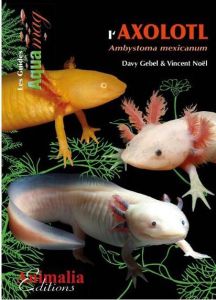 L'axolotl. Ambystoma mexicanum - Gebel Davy - Noël Vincent - Raffaëlli Jean