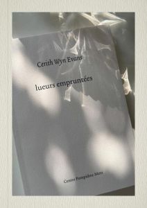 Lueurs empruntés. Edition bilingue français-anglais - Wyn Evans Cerith - Collins Dennis - Mahoney Bronwy