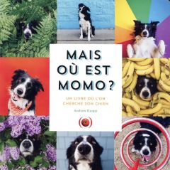 Mais où est Momo ? Un livre où l'on cherche son chien - Knapp Andrew