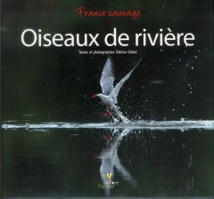 Oiseaux de rivière / France sauvage - Cahez Fabrice