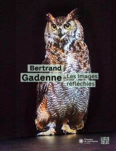 Les images réfléchies. Edition bilingue français-anglais - Gadenne Bertrand - Calan Maël de - Ifri Philippe -