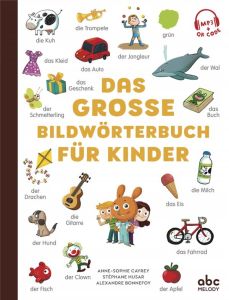 DAS GROSSE BILDWORTERBUCH FUR KINDER - LIVRE + AUDIO - HUSAR/CAYREY