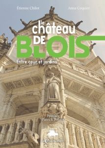 Le chateau de blois : entre cour et jardins, de la forteresse au musee - Chilot Etienne