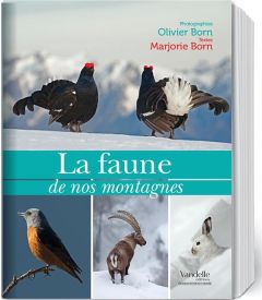 La faune de nos montagnes - Born Olivier - Born Marjorie