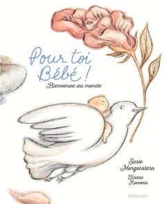 Pour toi bébé ! Bienvenue au monde - Romanin Tiziana - Morgenstern Susie