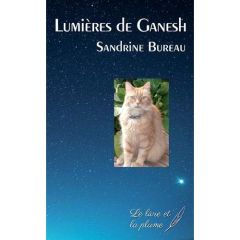 Lumières de Ganesh - Bureau Sandrine