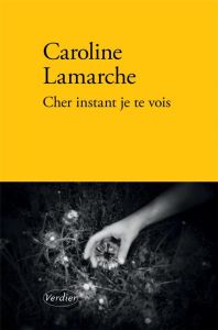 Cher instant je te vois - Lamarche Caroline