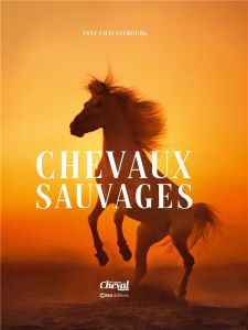 Chevaux Sauvages - Chaussebourg Anne