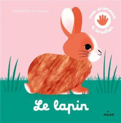 Le lapin - Michaud Raphaëlle