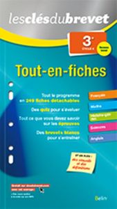 Tout-en-fiches 3e - Medina Annabel - Parant Marc - Sartout Maya - Dera