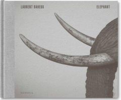 Eléphant. Edition bilingue français-anglais - Baheux Laurent - Jardin Alexandre