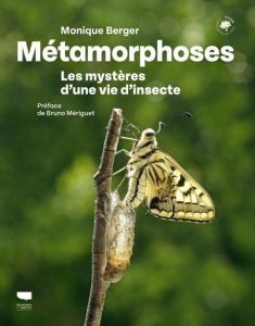 Métamorphoses. Les mystères d'une vie d'insecte - Berger Monique - Mériguet Bruno