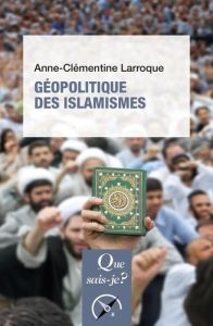 Géopolitique des islamismes - 4e édition - Larroque Anne-Clémentine