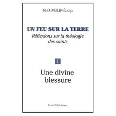 Un feu sur la terre. Tome 1, Une divine blessure - Molinié Marie-Dominique