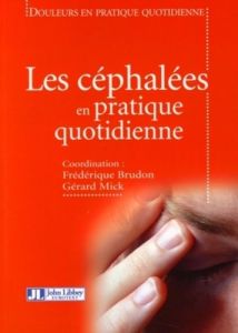 Les céphalées en pratique quotidienne - Brudon Frédérique - Mick Gérard