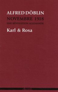 Novembre 1918, une révolution allemande Tome 4 : Karl & Rosa - Döblin Alfred - Litaize Maryvonne - Hoffmann Yasmi