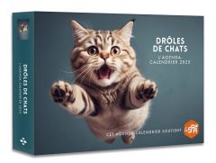 L'agenda-calendrier Drôles de chats. Edition 2025 - COLLECTIF