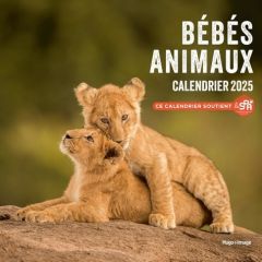 Calendrier mural Bébés animaux. Edition 2025 - Valli Luce