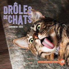 Calendrier mural Drôles de chats. Edition 2025 - Le Flour Sophie