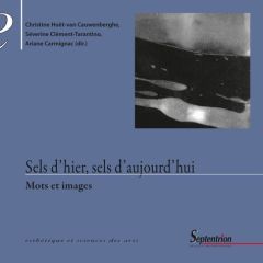 Sels d'hier, sels d'aujourd'hui. Mots et images - Hoët-van Cauwenberghe Christine - Clément-Tarantin