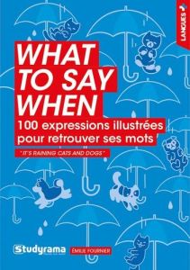 What to say when. 100 expressions illustrées pour retrouver ses mots - Fournier Emilie