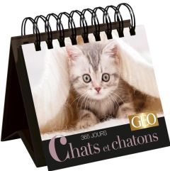 365 jours Chats et chatons - PLAYBAC EDITIONS