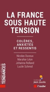 La France sous haute tension. Colères, anxiétés et ressentis - Duvoux Nicolas - Léon Marylise - Rolland Johanna -