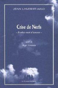 Crise de Nerfs -Parlez-moi d'amour. Suivi  de Aegri somnia - Lambert-Wild Jean