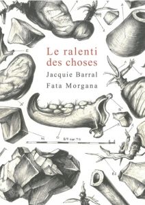 Le ralenti des choses - Barral Jacquie