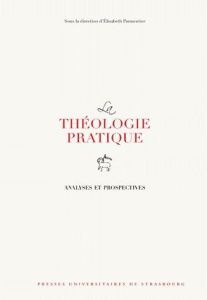 La théologie pratique. Analyses et prospectives - Parmentier Elisabeth - Adler Gilbert - Aulenbacher