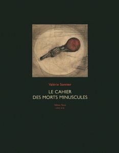 Le cahier des morts minuscules - Sonnier Valérie - Girveau Bruno - Païni Dominique