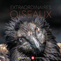 Extraordinaires oiseaux - Balança Erwan - Baumeister Simone - Born Olivier -