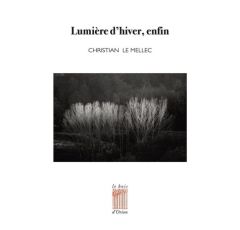 Lumière d'hiver, enfin - Le Mellec Christian