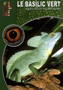 Le basilic vert. Basiliscus plumifrons - Kober Ingo - Vedovotto Nathalie