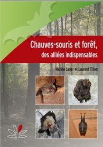 Chauves-souris et forêt, des alliées indispensables - Lauer Marine - Tillon Laurent - Bareau Anne-Marie