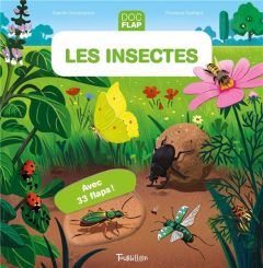 Les insectes - Dussaussois Sophie - Guittard Florence