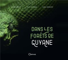 Dans les forêts de Guyane - Broux Audric - Leclerc Pierre - Morand Julien