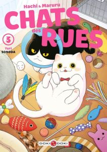 Chats des rues - Hachi & Maruru Tome 3 - Sonoda Yuri - Roullon-Ishihara Pénélope