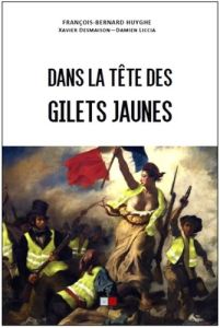 Dans la tête des gilets jaunes - Liccia Damien