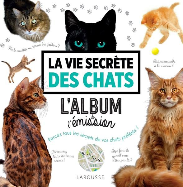 Emprunter La vie secrète des chats livre