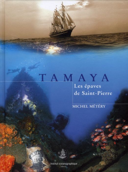 Emprunter Tamaya. Les épaves de Saint-Pierre livre