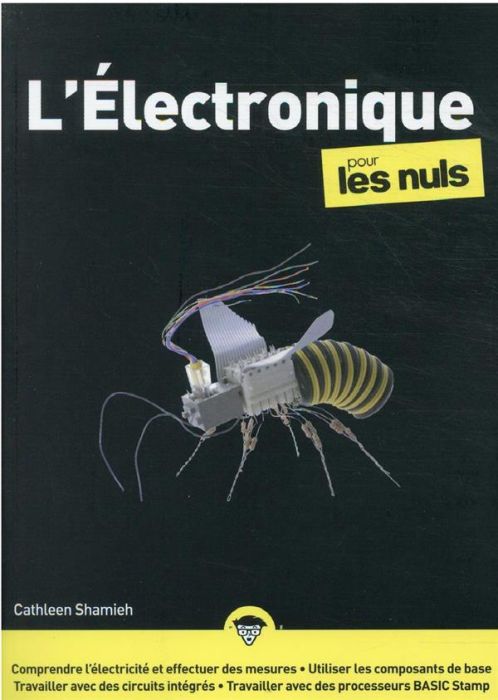 Emprunter L'électronique pour les nuls livre