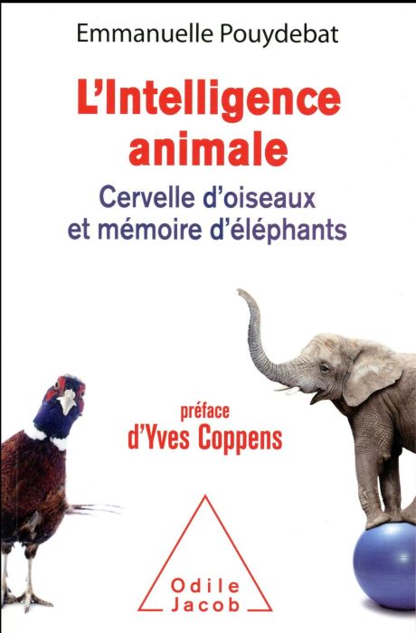 Emprunter L'Intelligence animale. Cervelle d'oiseaux et mémoire d'éléphants livre