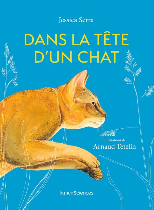 Emprunter Dans la tête d'un chat livre