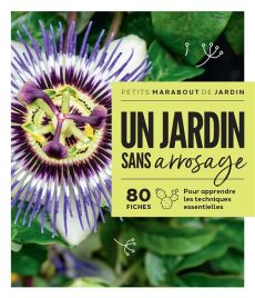 Jardin sans arrosage - XXX