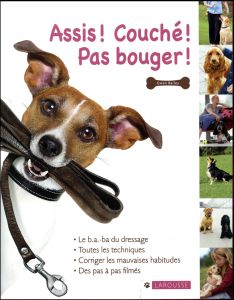 Assis ! Couché ! Pas bouger ! - Bailey Gwen - Rolland Sabine